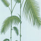Save on 66/2010 Cs Palm Leaves Pale Bl By Cole and Son Wallpaper