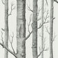 Find 69/12147 Cs Woods Onyx White By Cole and Son Wallpaper