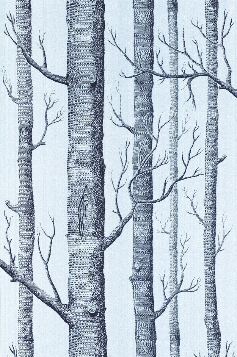 Shop 69/12150 Cs Woods Choc Silver By Cole and Son Wallpaper