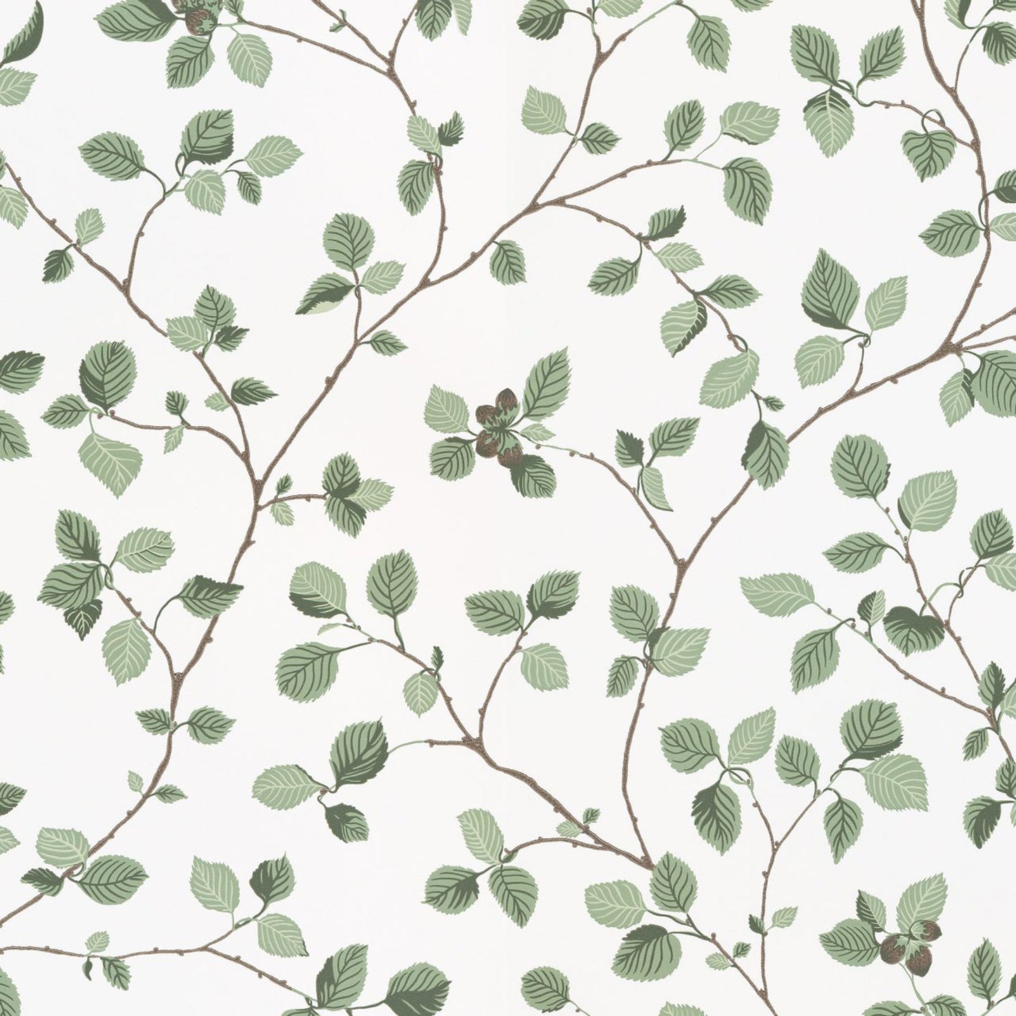 709-38 Hassel green, Arboretum by Sandberg Wallpaper