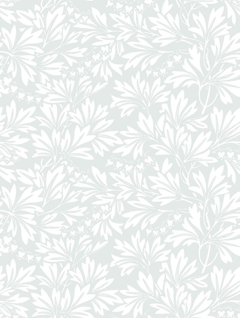 Looking for 88/11044 Cs Dialytra Dove By Cole and Son Wallpaper