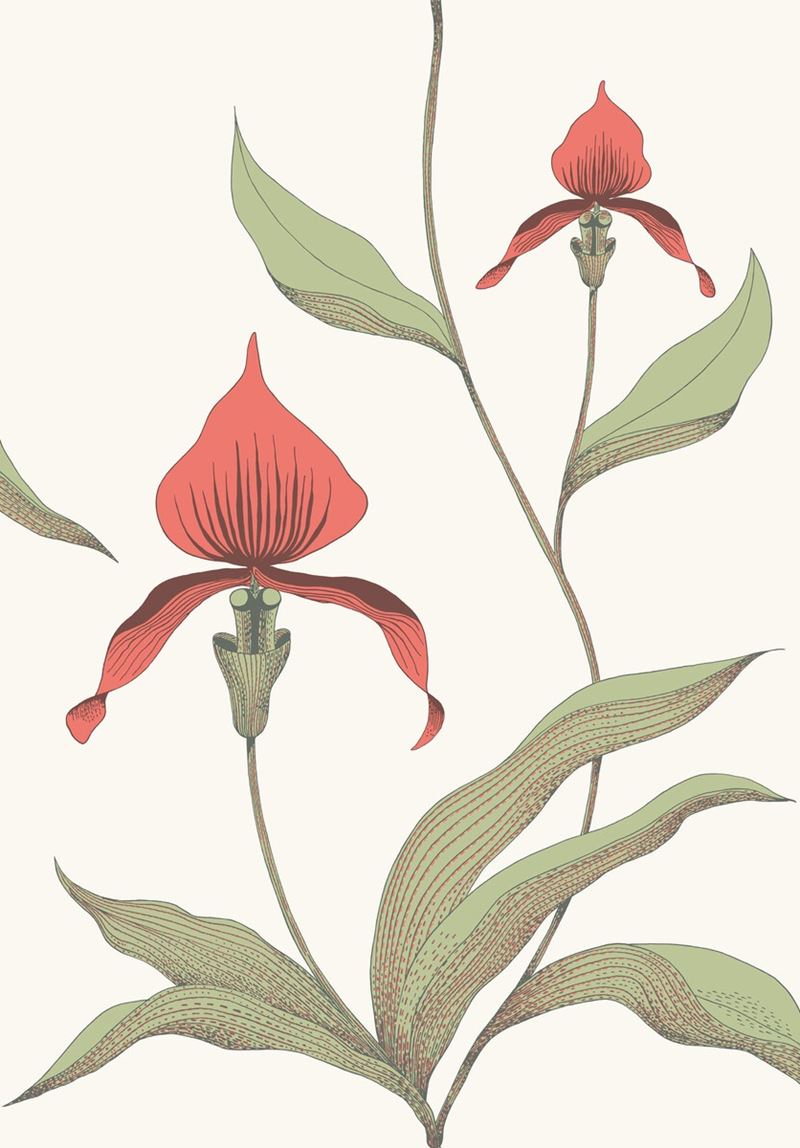 Search 95/10054 Cs Orchid Red White By Cole and Son Wallpaper