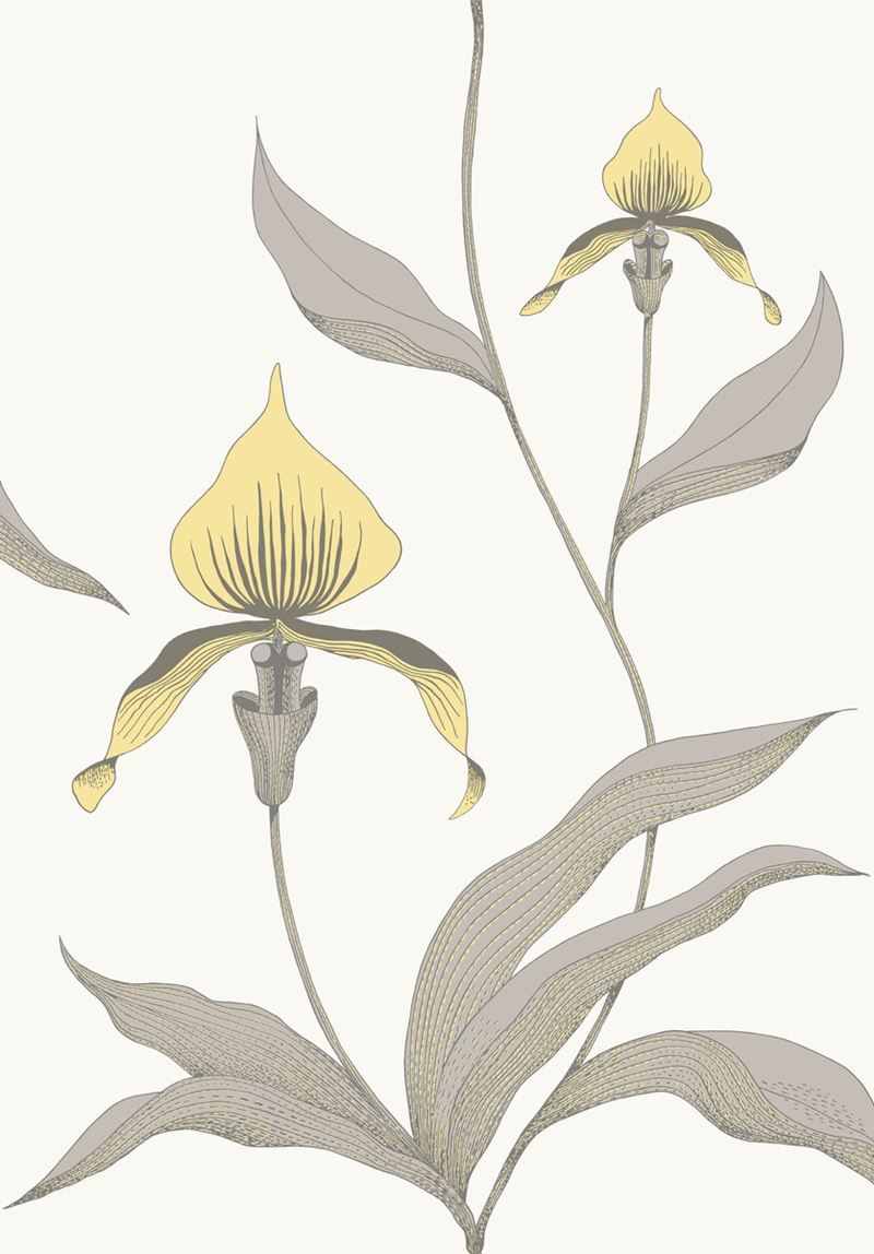 View 95/10057 Cs Orchid Yellow White By Cole and Son Wallpaper
