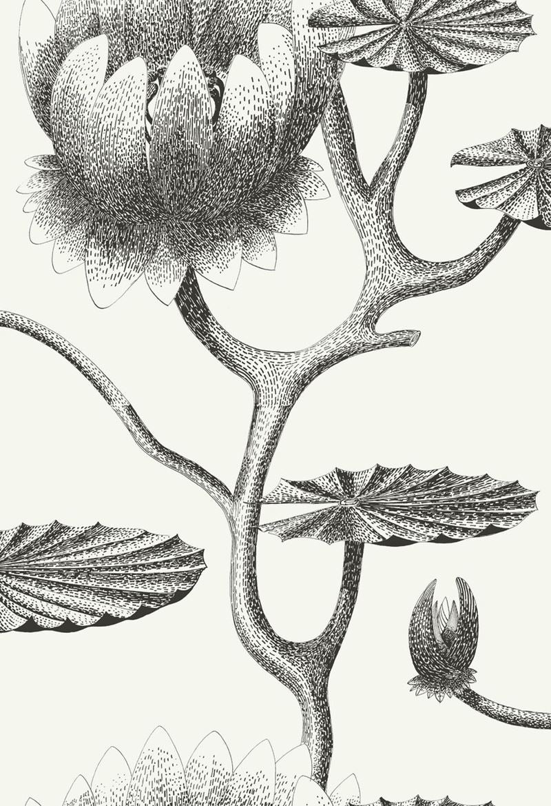 Shop 95/4020 Cs Lily Black White By Cole and Son Wallpaper