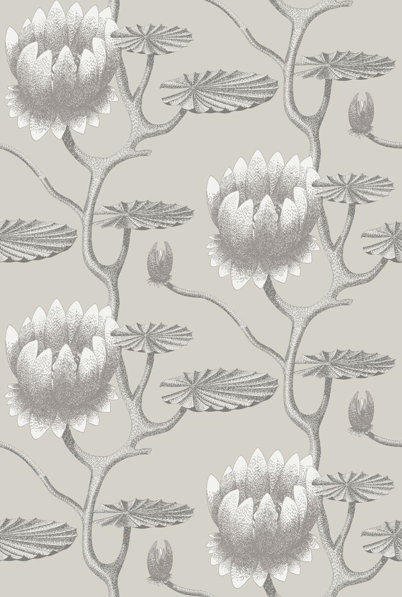 Search 95/4025 Cs Summer Lily Taupe White By Cole and Son Wallpaper