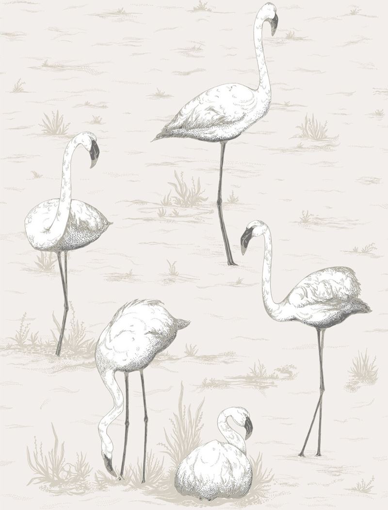 Acquire 95/8046 Cs Flamingos Charcoal Wht By Cole and Son Wallpaper
