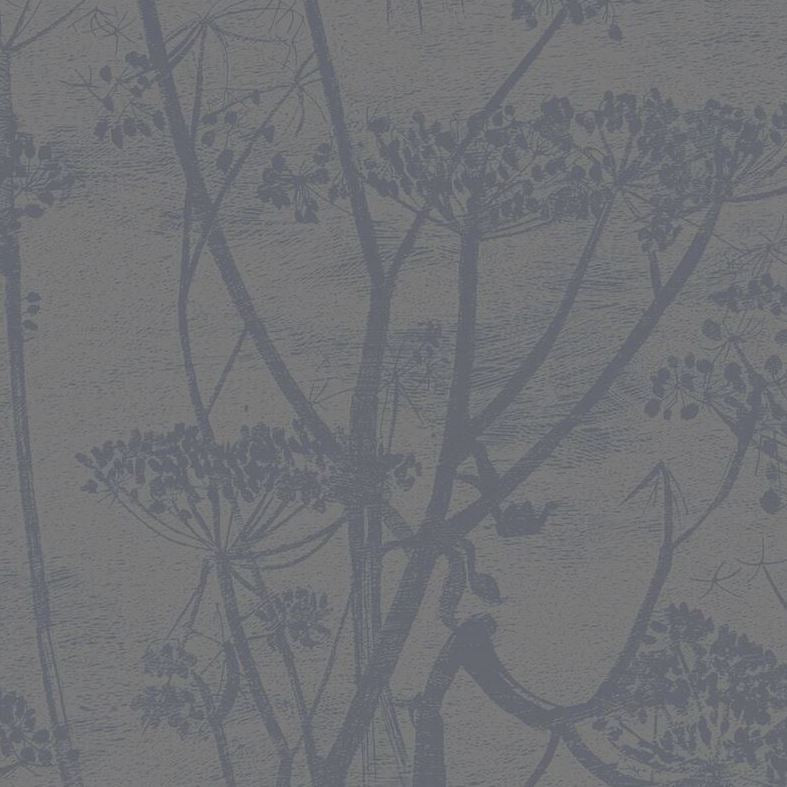 95/9050 | Cole and Son Wallpaper | Cow Parsley | Wallcovering