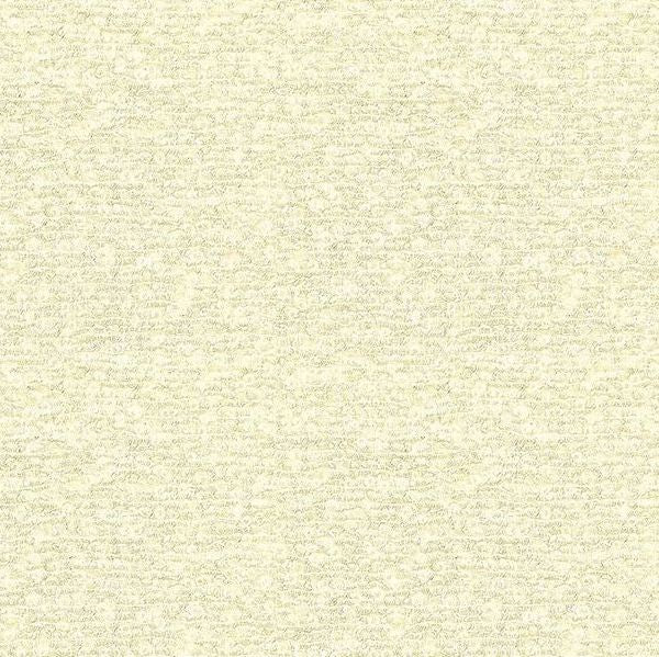 Shop 9537.1 Kravet Couture Drapery Fabric