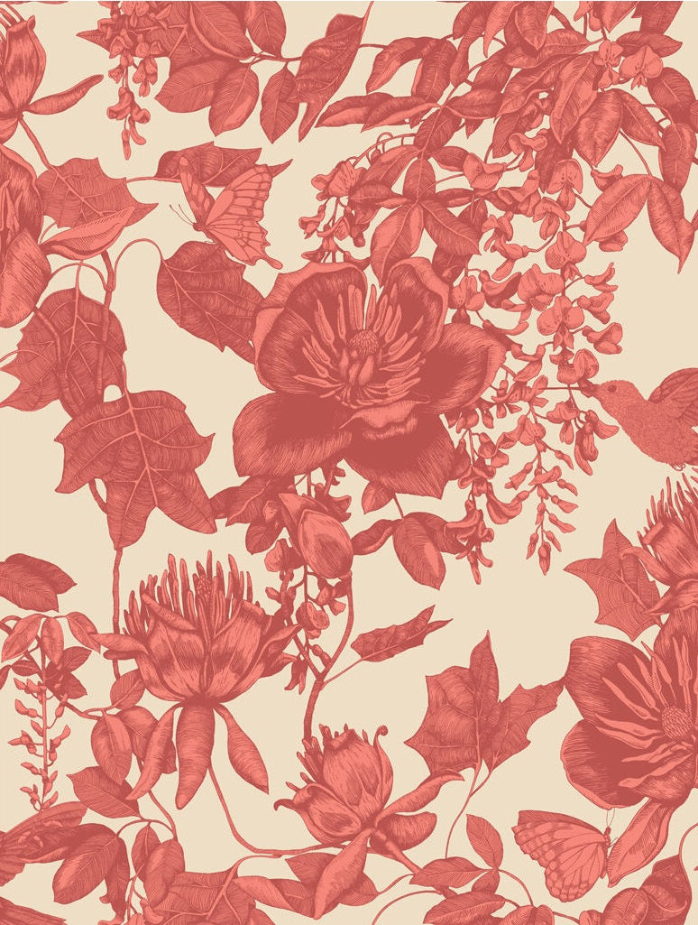 Shop 99/7033 Cs Tivoli Coral By Cole and Son Wallpaper