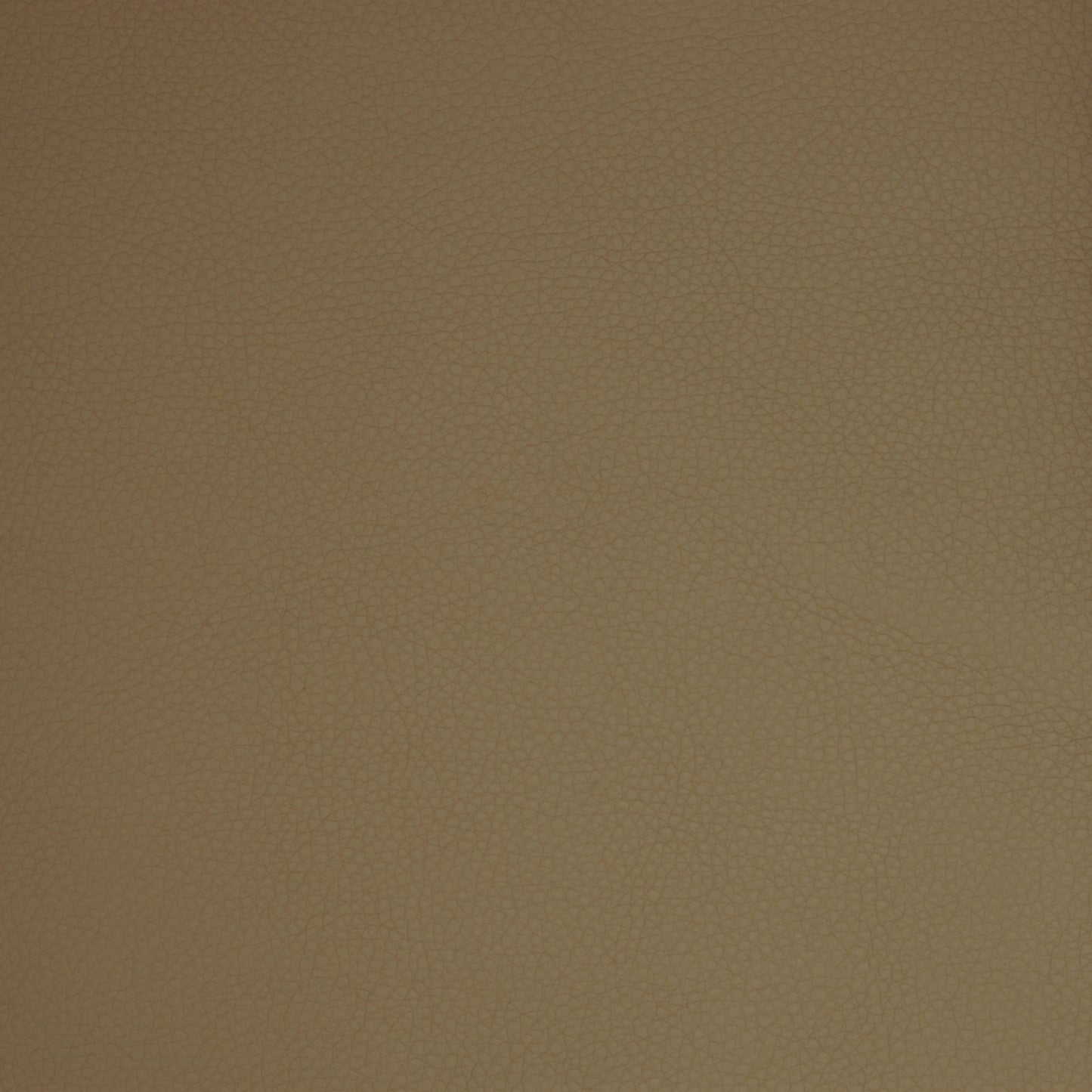 Purchase Greenhouse Fabric A9205 Taupe