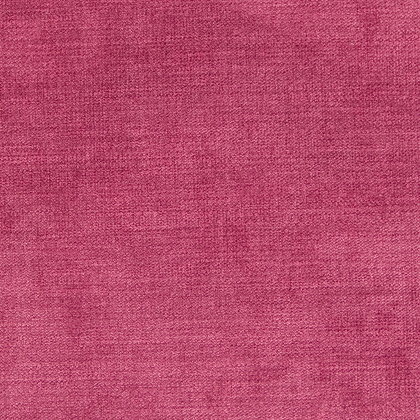 Purchase Greenhouse Fabric B1279 Pink