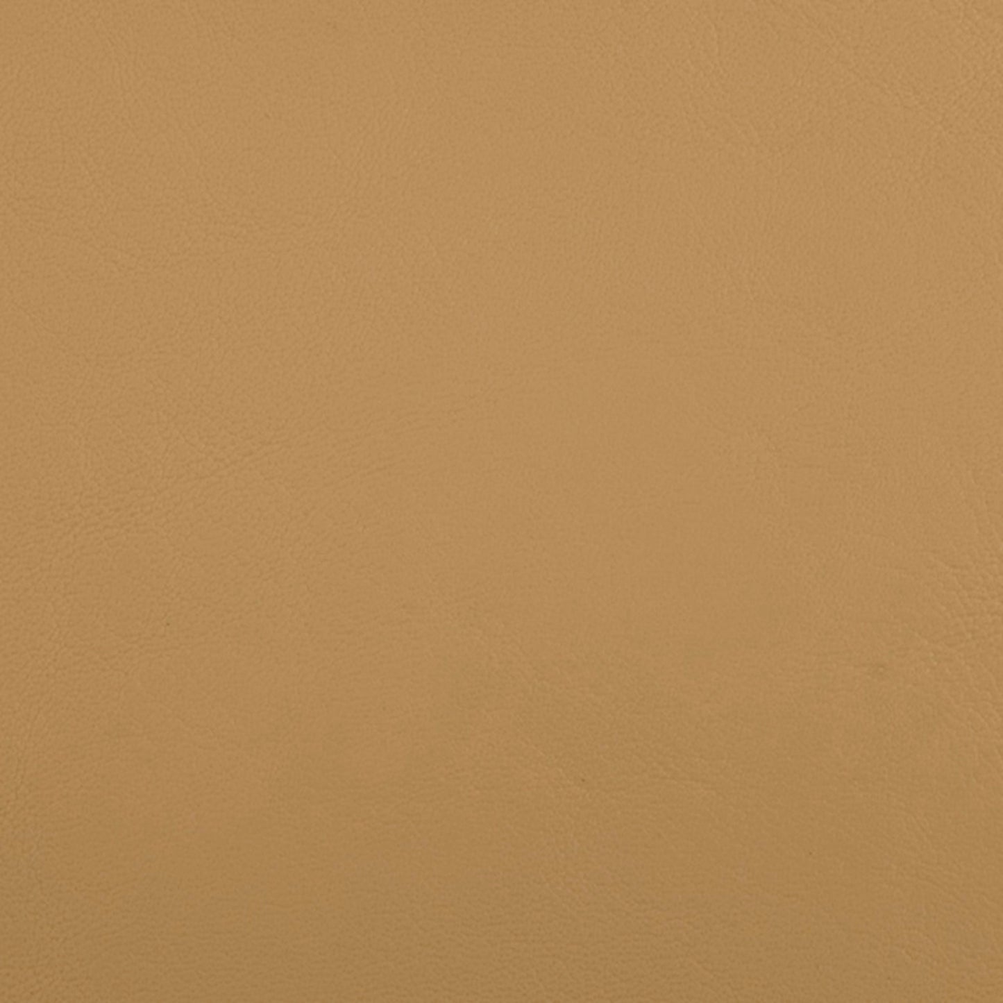 Purchase Greenhouse Fabric B5189 Zander Dune