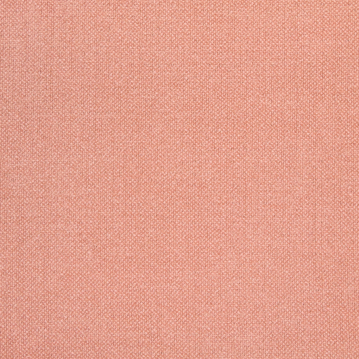 Purchase Greenhouse Fabric B8584 Guava