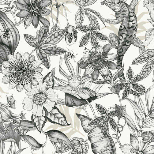 Purchase Bl1703 | Blooms, Rainforest - York Wallpaper