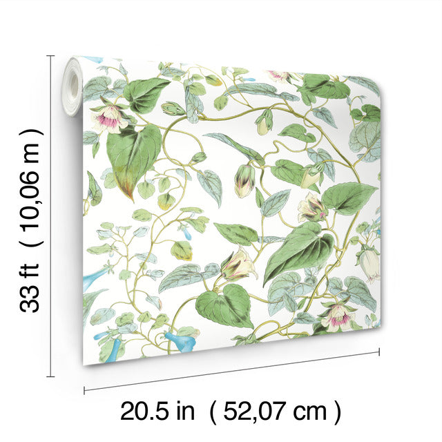 Purchase Bl1711 | Blooms, Moon Flower - York Wallpaper
