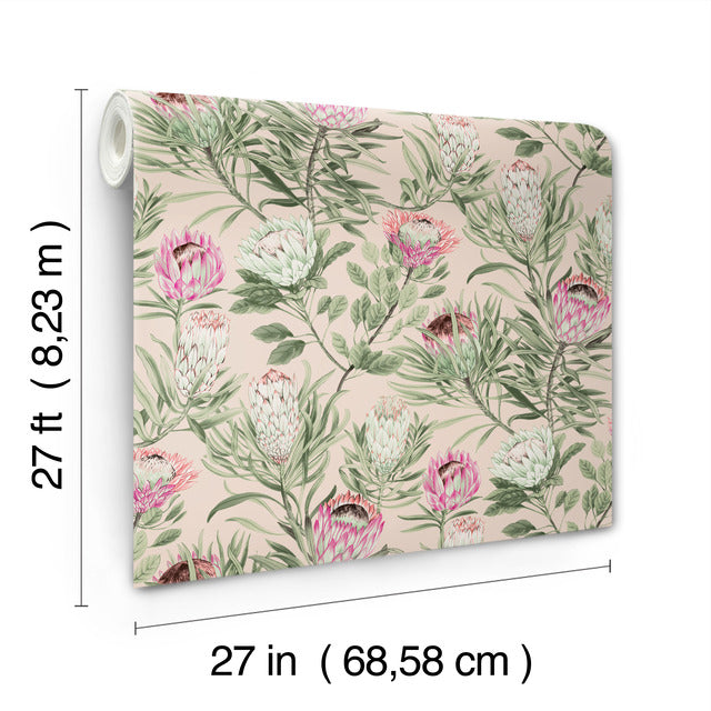 Purchase Bl1751 | Blooms, Protea - York Wallpaper