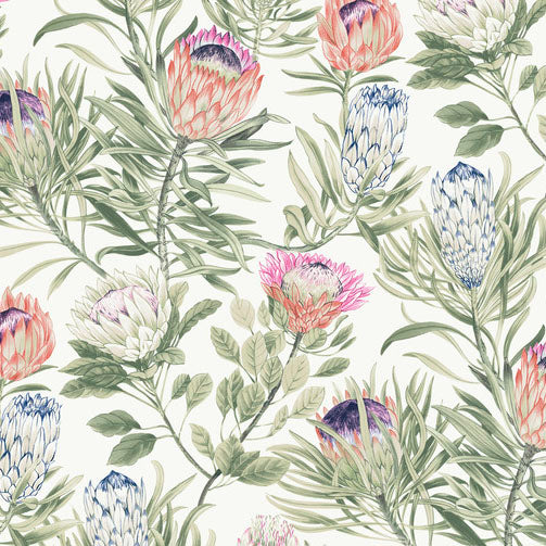 Purchase Bl1752 | Blooms, Protea - York Wallpaper