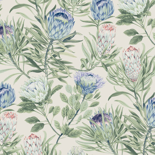 Purchase Bl1753 | Blooms, Protea - York Wallpaper