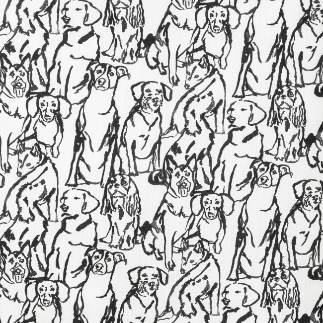 Purchase Buddy.1101.0 Kravet Basics, - Kravet Basics Fabric