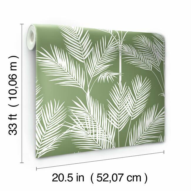 CV4411 King Palm Silhouette Wallpaper Fern Waters Edge1 ; CV4411 King Palm Silhouette Wallpaper Fern Waters Edge2 ; CV4411 King Palm Silhouette Wallpaper Fern Waters Edge3 ; CV4411 King Palm Silhouette Wallpaper Fern Waters Edge4 ; CV4411 King Palm Silhouette Wallpaper Fern Waters Edge5 ; CV4411 King Palm Silhouette Wallpaper Fern Waters Edge6