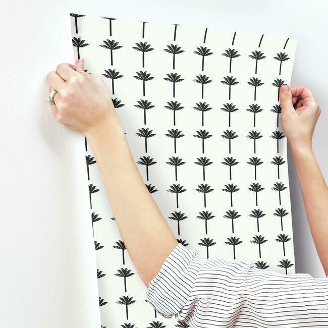 CV4417 Palm Bay Wallpaper Black Waters Edge1 ; CV4417 Palm Bay Wallpaper Black Waters Edge2 ; CV4417 Palm Bay Wallpaper Black Waters Edge3 ; CV4417 Palm Bay Wallpaper Black Waters Edge4 ; CV4417 Palm Bay Wallpaper Black Waters Edge5 ; CV4417 Palm Bay Wallpaper Black Waters Edge6