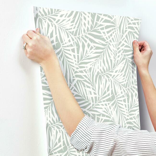 CV4434 Oahu Fronds Wallpaper Eucalyptus Waters Edge1 ; CV4434 Oahu Fronds Wallpaper Eucalyptus Waters Edge2 ; CV4434 Oahu Fronds Wallpaper Eucalyptus Waters Edge3 ; CV4434 Oahu Fronds Wallpaper Eucalyptus Waters Edge4 ; CV4434 Oahu Fronds Wallpaper Eucalyptus Waters Edge5 ; CV4434 Oahu Fronds Wallpaper Eucalyptus Waters Edge6