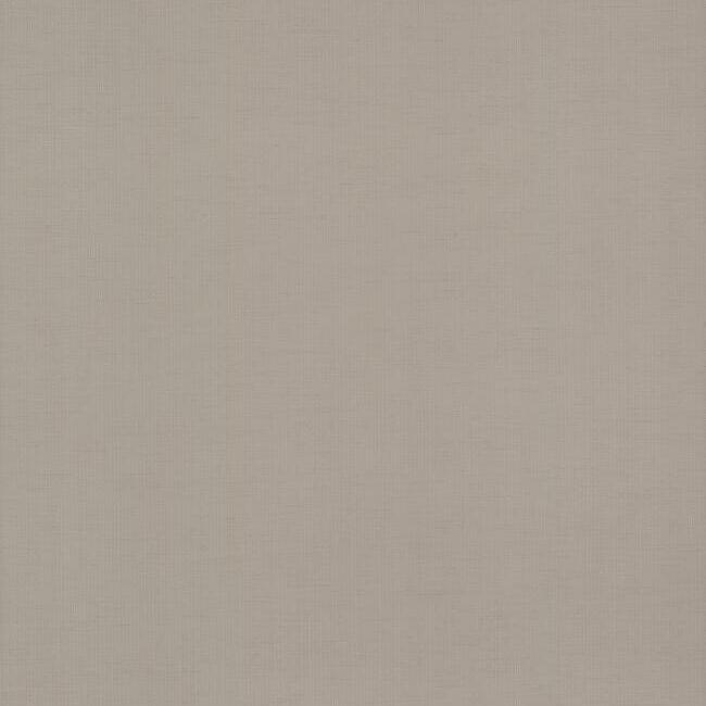 Find DD3773 Gossamer Woven Dazzling Dimensions Volume II by Antonina Vella Wallpaper