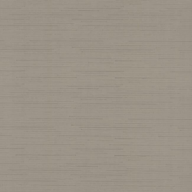 Looking DD3832 Ribbon Bamboo Dazzling Dimensions Volume II by Antonina Vella Wallpaper