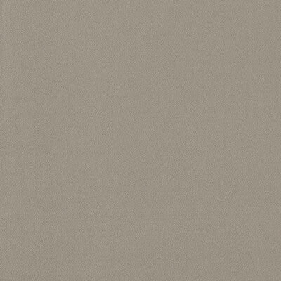 F1511-04 Miami Ash Solid Clarke And Clarke Fabric