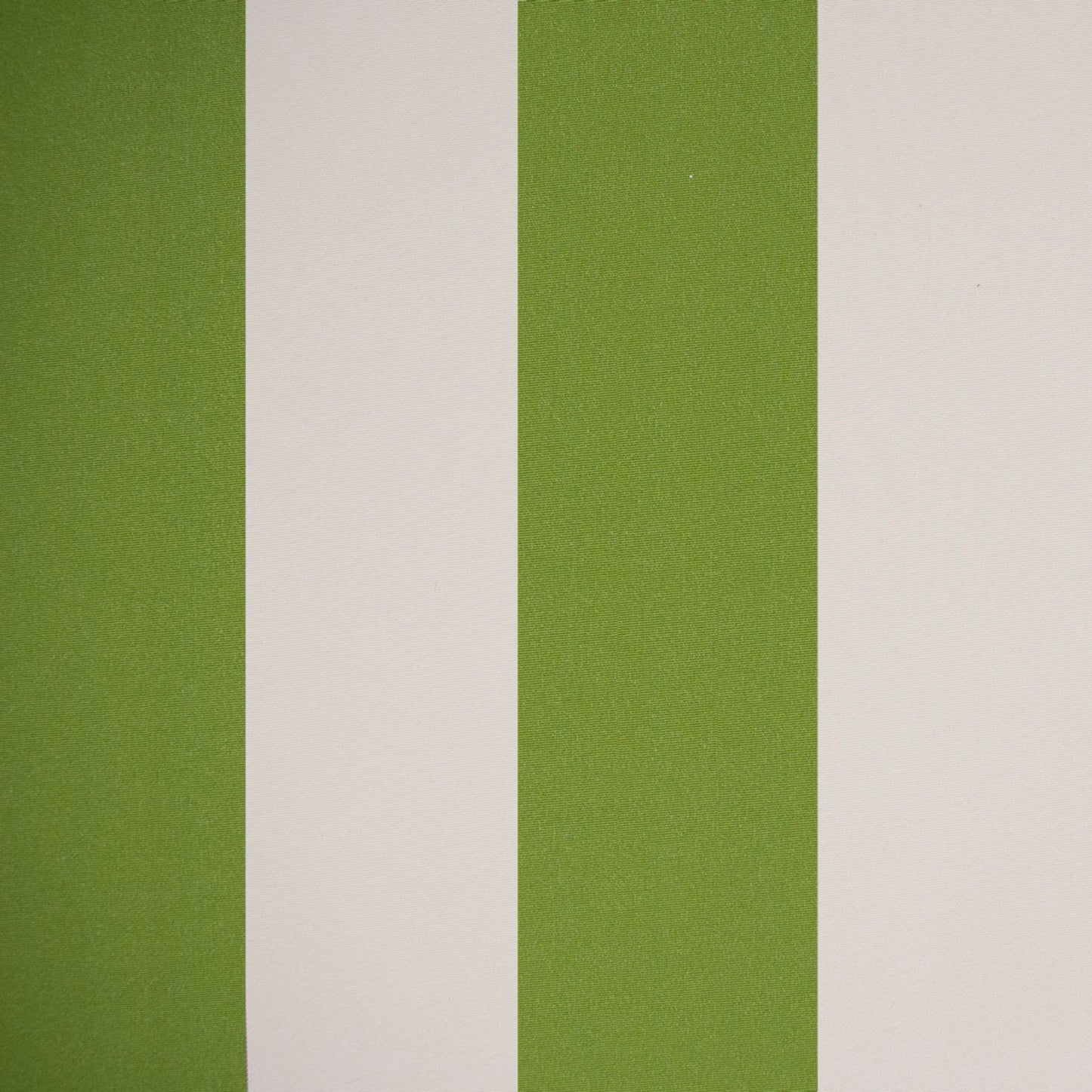 Purchase Greenhouse Fabric F4510 Fern