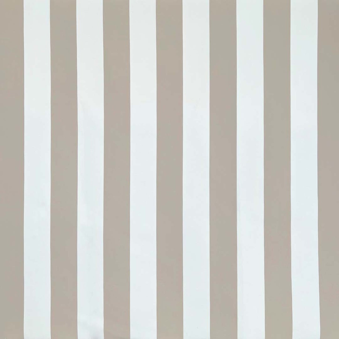 Purchase Greenhouse Fabric F4548 Birch