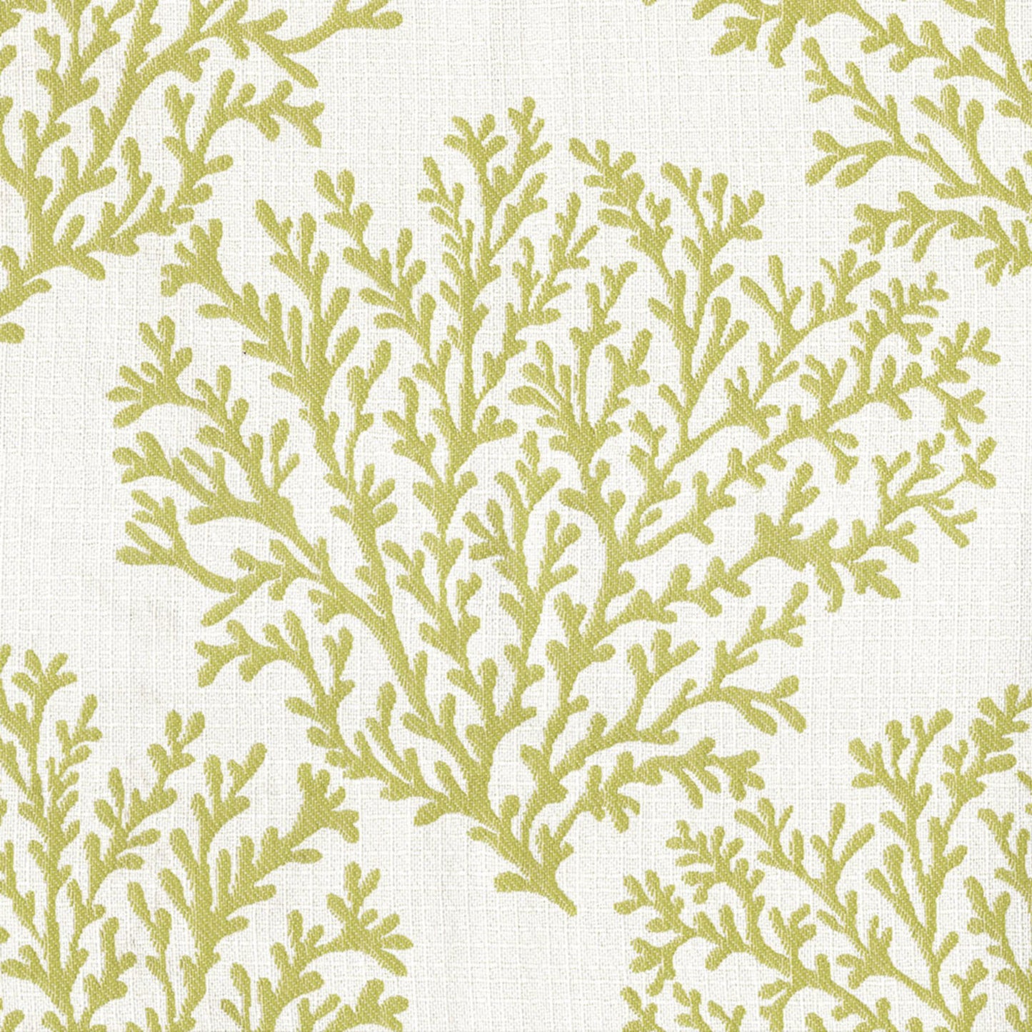 Purchase Greenhouse Fabric F4591 Fern