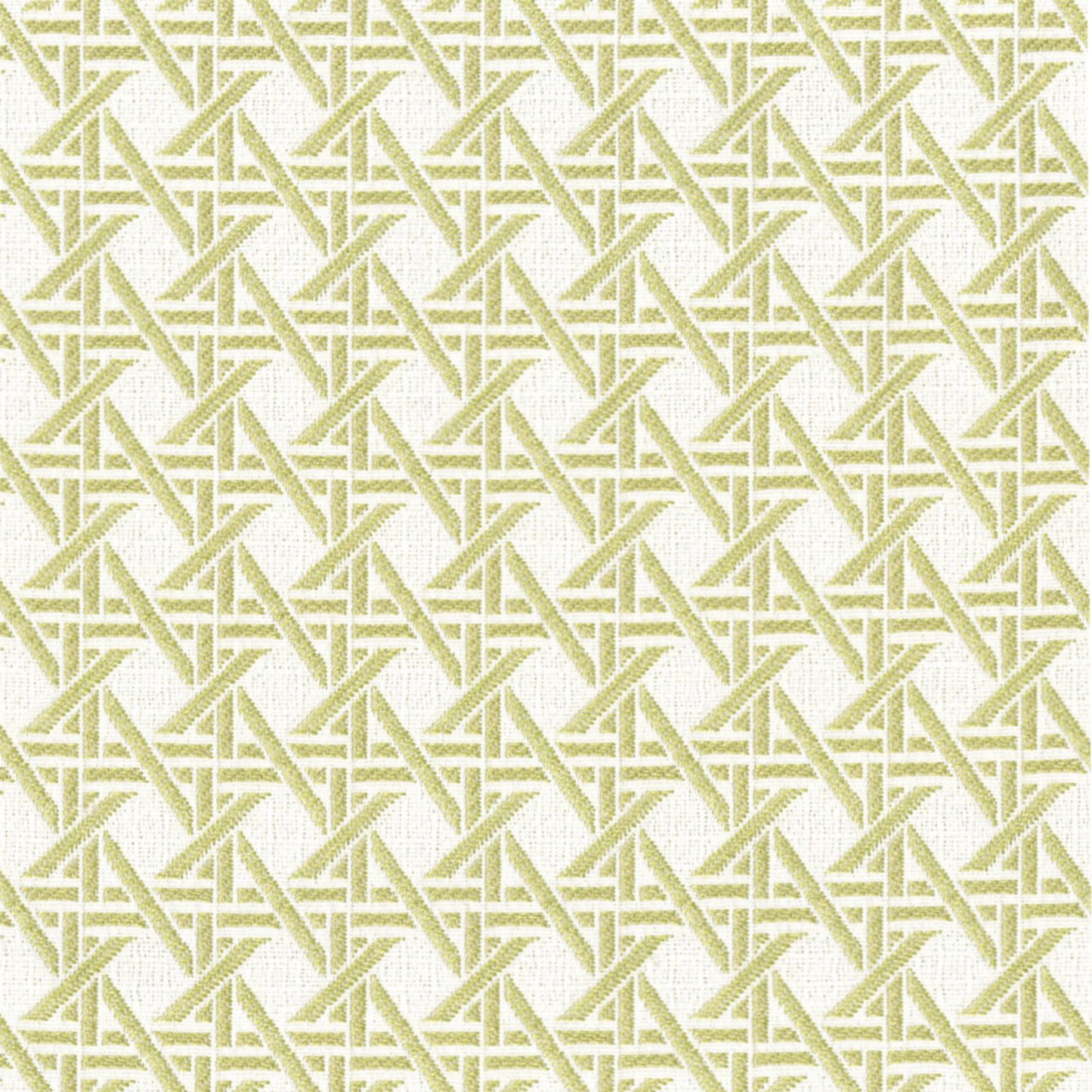 Purchase Greenhouse Fabric F4595 Fern