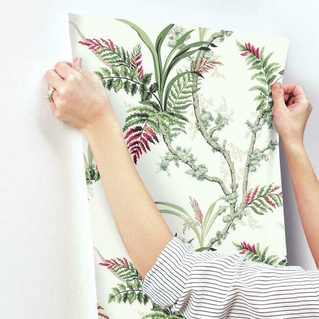 GR5993 | Grandmillennial, Enchanted Fern Green/Red York Wallpaper