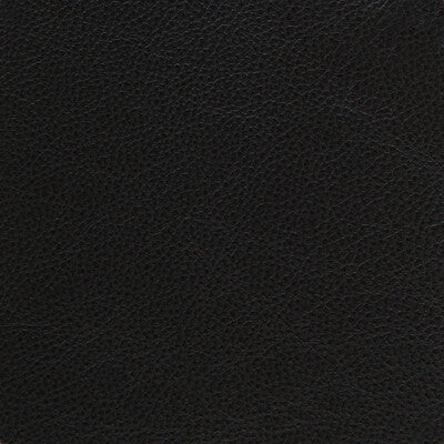Purchase L-Dreamer.Onyx.0 L-Dreamer, - Kravet Design Fabric