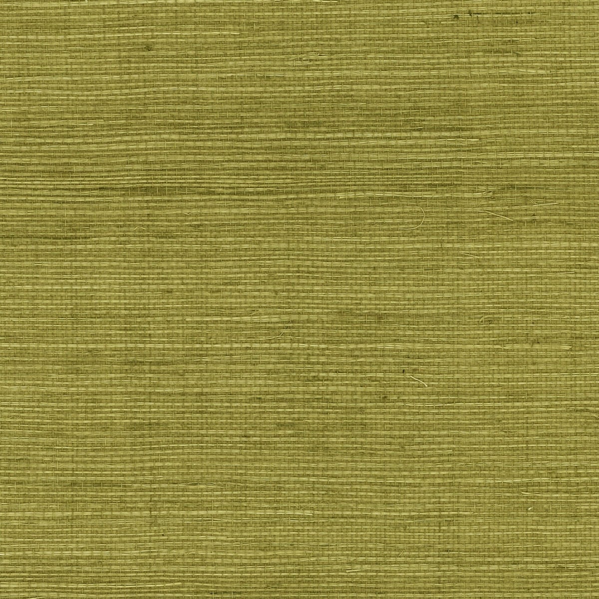 LN11804 | Sisal, Green - Lillian August Wallpaper