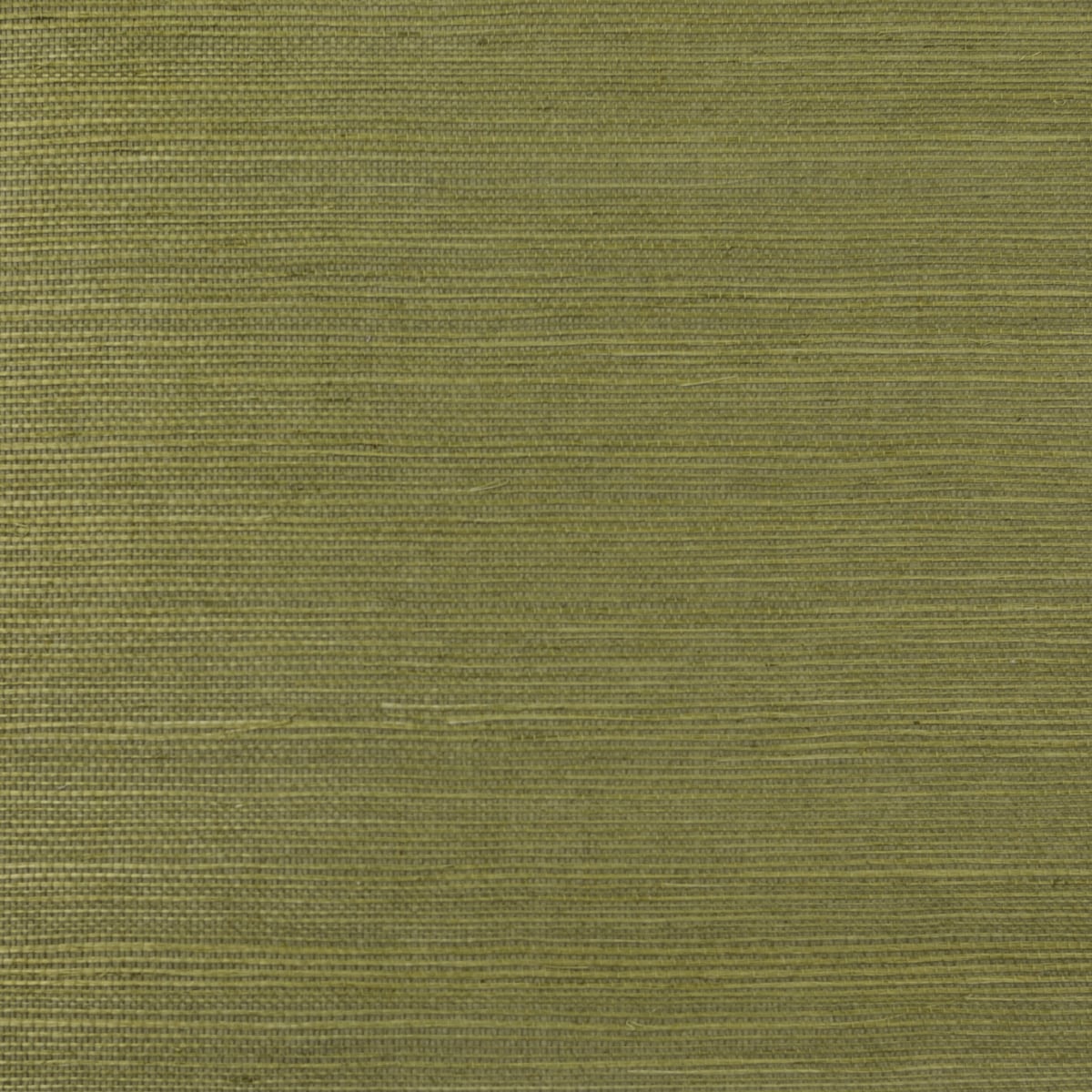 LN11854 | Sisal, Green - Lillian August Wallpaper