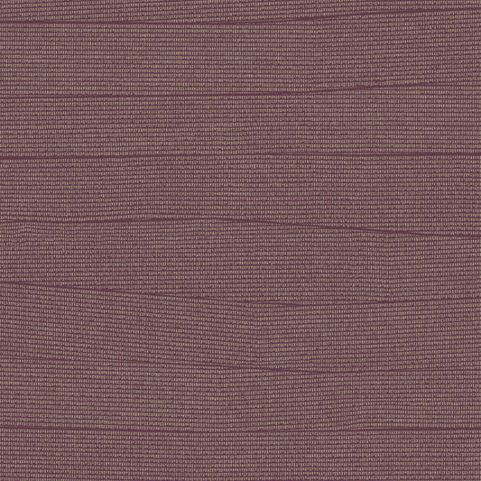 Purchase Oi0691 | New Origins, Papyrus Plume - York Wallpaper