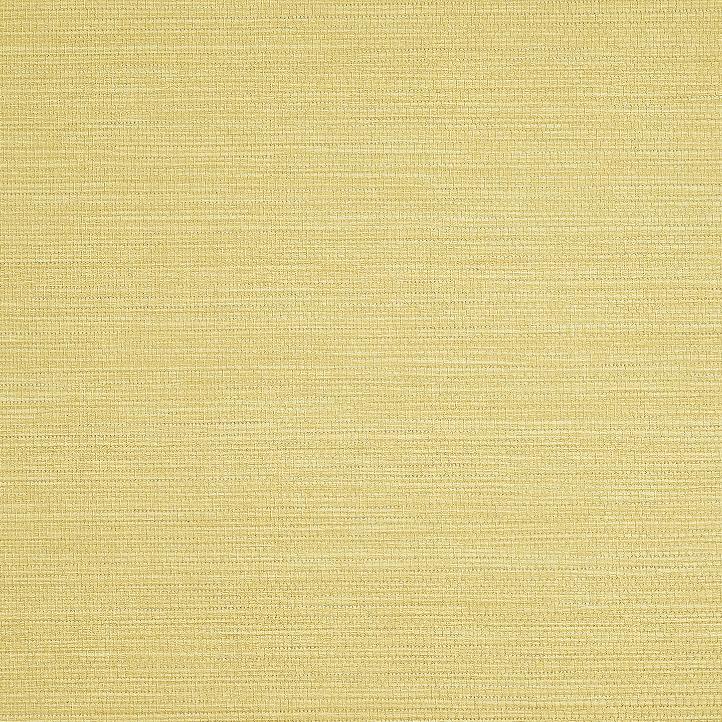 Purchase Phillip Jeffries Wallpaper - 9733, Pj Color Splash ™ - Taffy