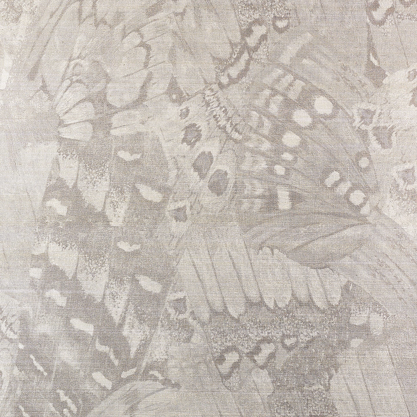 Purchase Phillip Jeffries Wallpaper - 9833, Aflutter - Gliding Grey