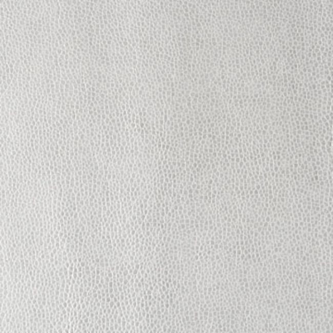 Purchase Kerinci.11.0 Kerinci, Performance Sta Kleen - Kravet Design Fabric