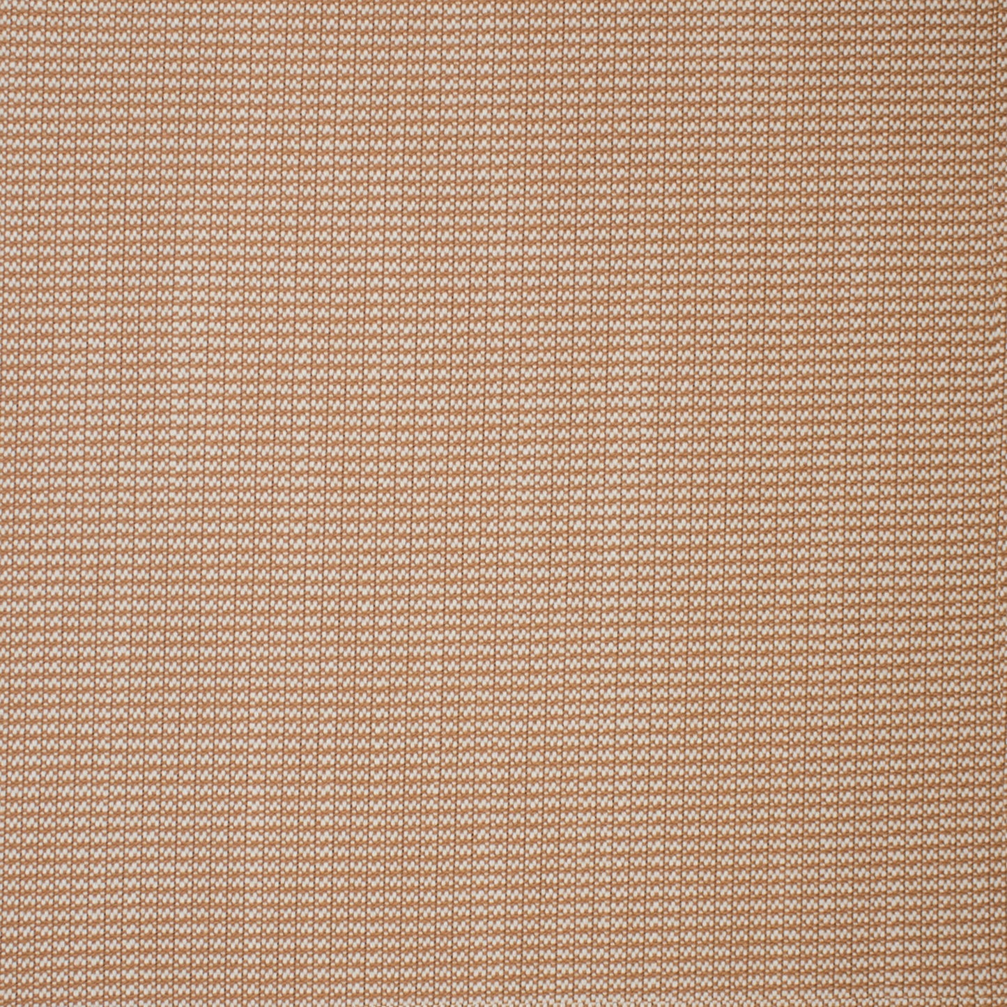 Purchase Greenhouse Fabric S5715 Blush