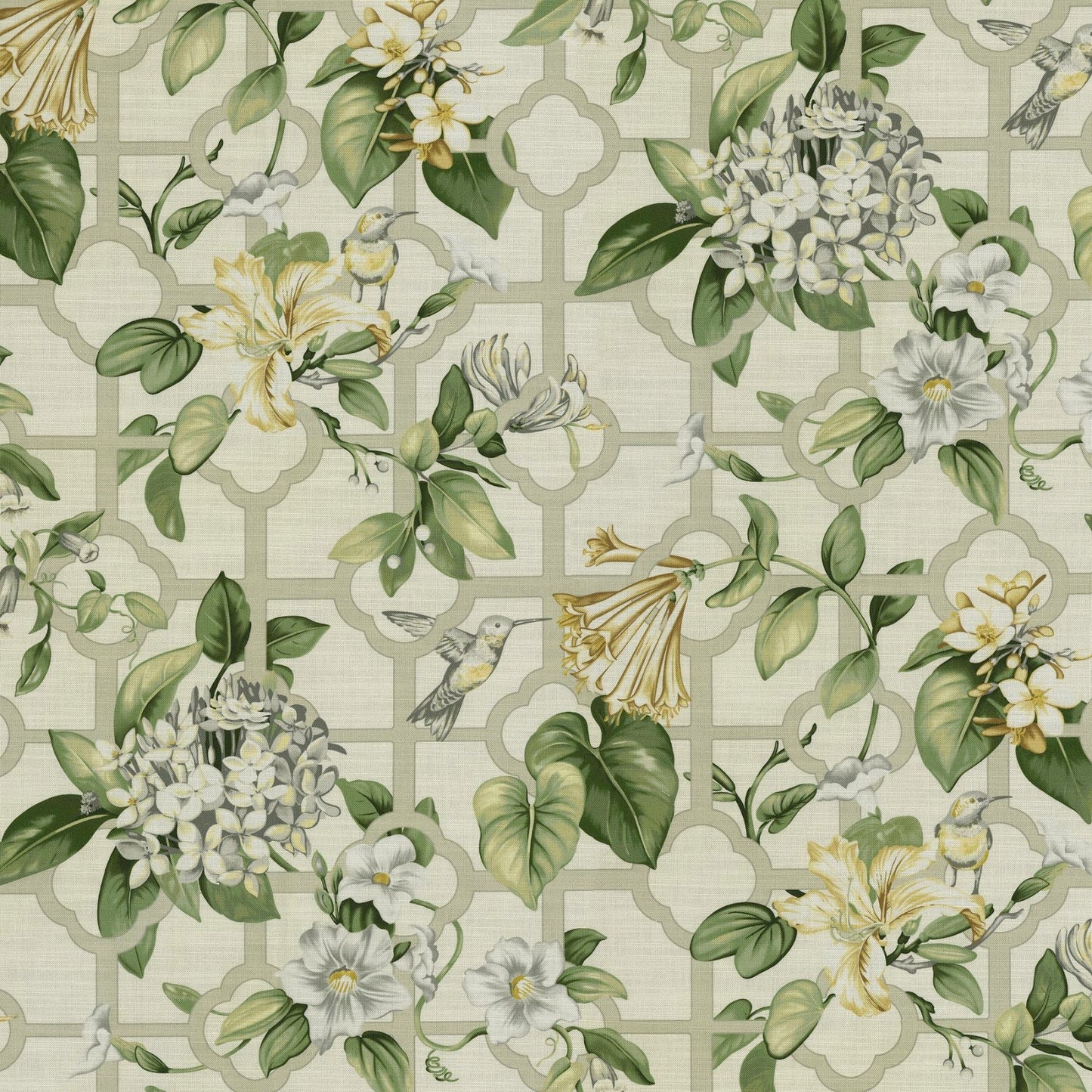 Purchase Greenhouse Fabric S6156 Garden