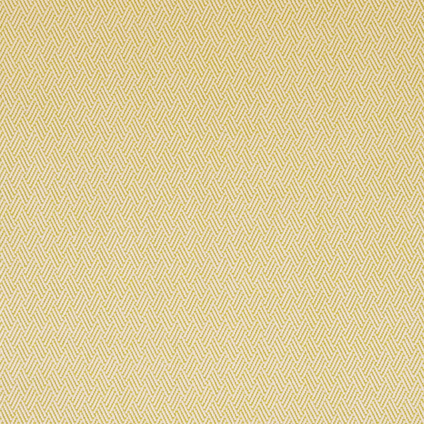 Purchase Greenhouse Fabric S6293 Lime