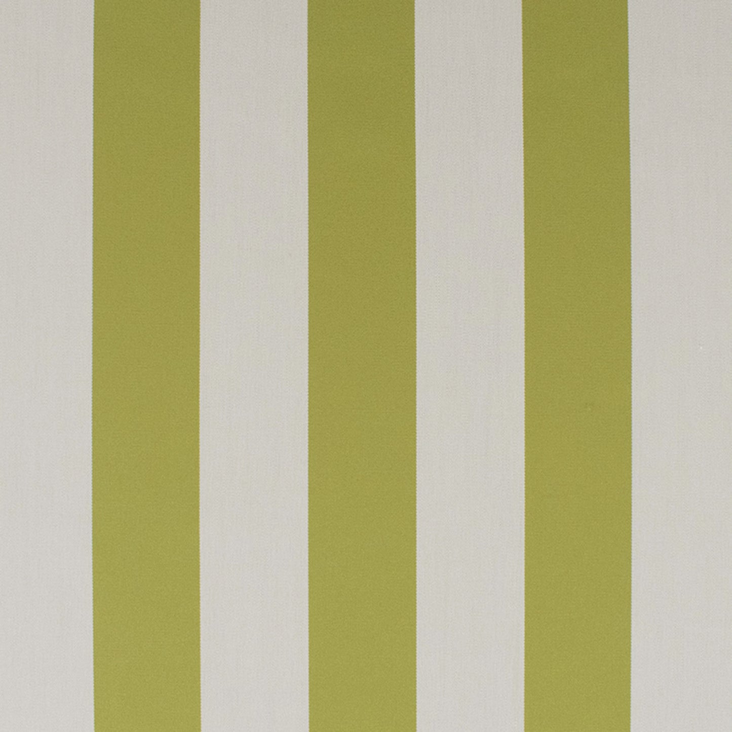 Purchase Greenhouse Fabric S6294 Basil