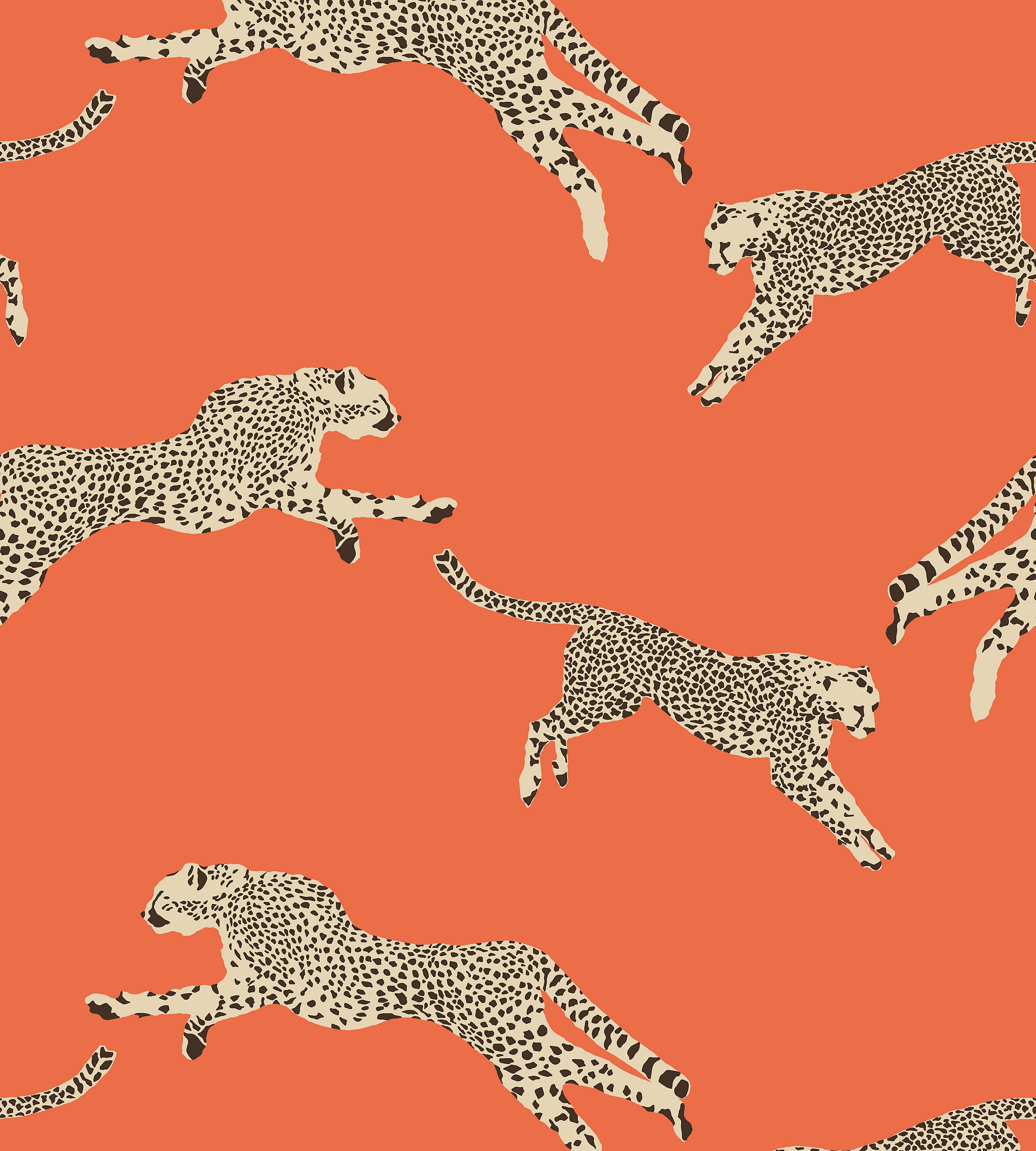 Cheetahs Leaping Pink Wallpaper