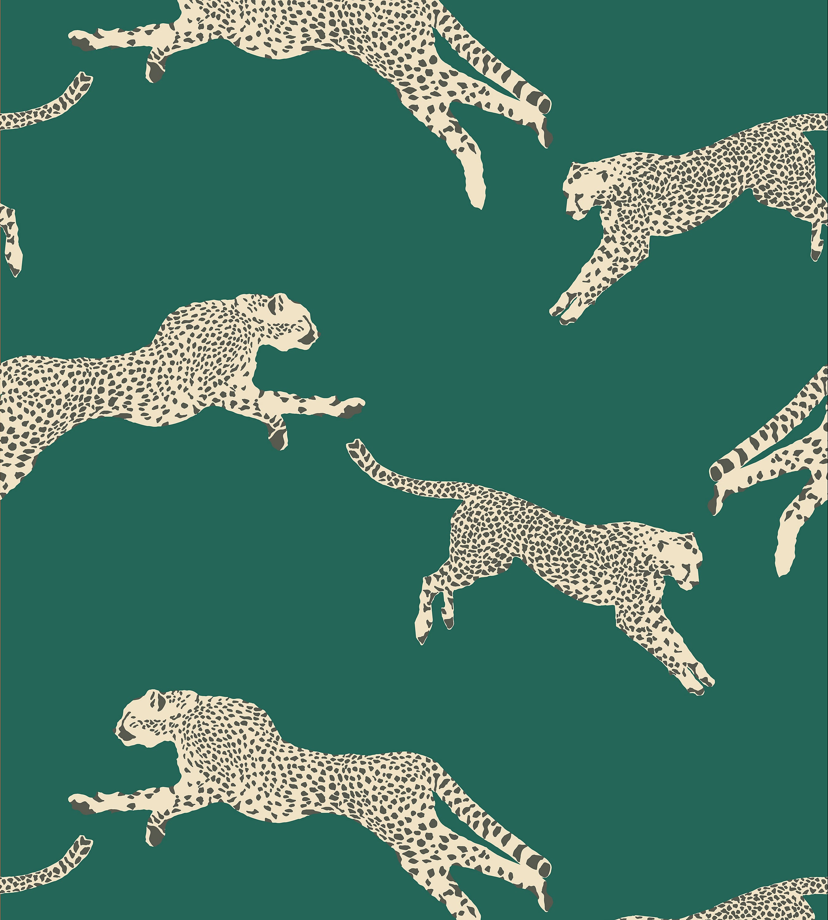 SC 0005WP88449  Leaping Cheetah, Evergreen - Scalamandre Wallpaper