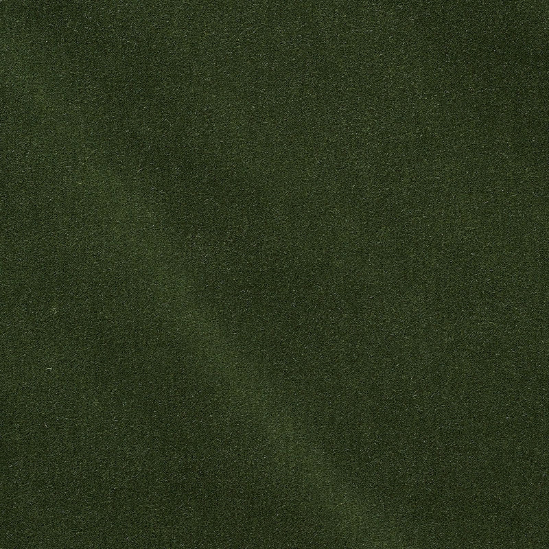 Purchase sample of 74501 San Carlo Mohair Velvet, Hedge by Schumacher Fabric