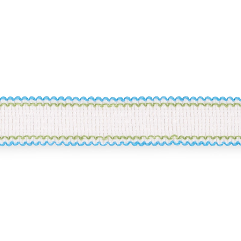 73571 | Filippa Tape, Aqua - Schumacher Fabric