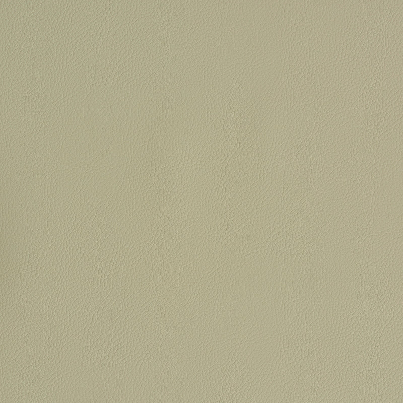 Purchase sample of 79553 Indoor/Outdoor Vegan Leather, Dune by Schumacher Fabric